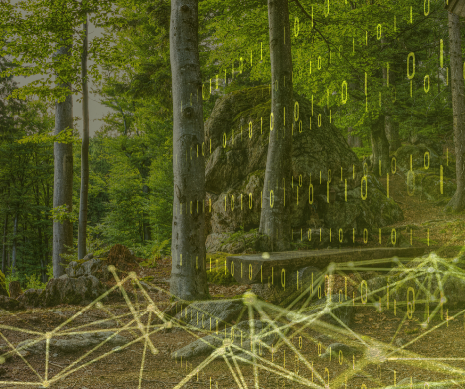Illustration von KI im Wald - Einsen und Nullen in ein Waldfoto integriert.