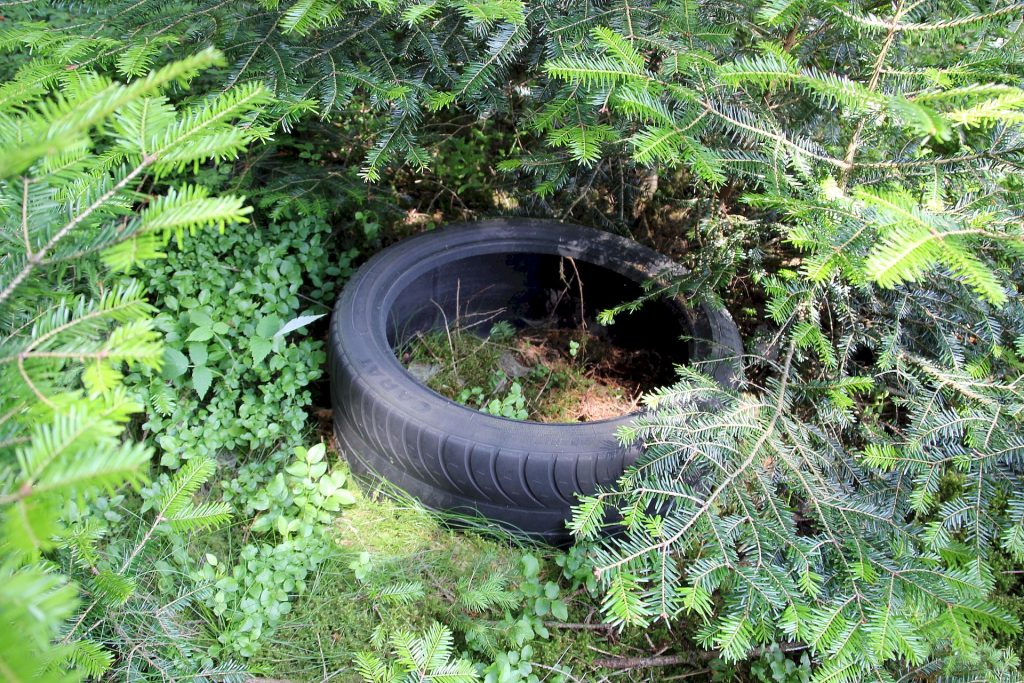 Foto eines Autoreifens im Gebüsch - zur Illustration von Müll im Wald