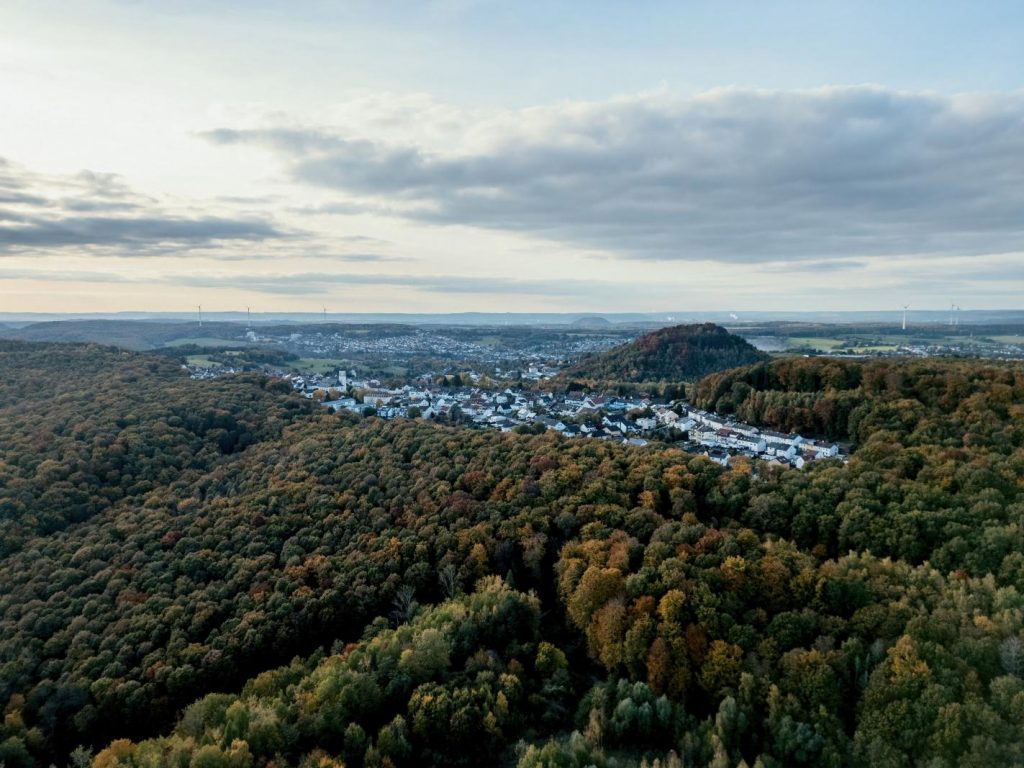Luftbild des Saarkohlenwaldes