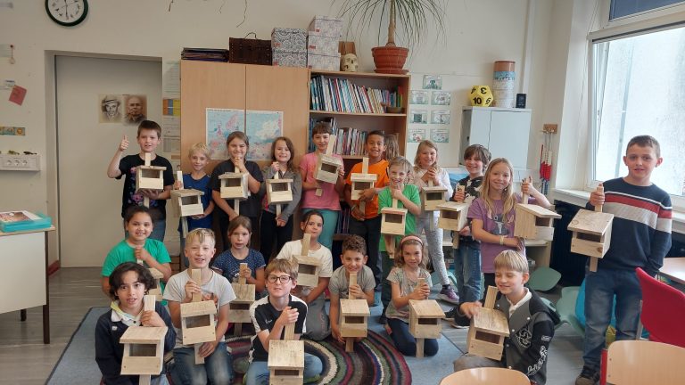 Bastelaktion Fledermaus- Kästen Grundschule Blieskastel
